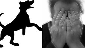 [Pick] "평소엔 순둥이"&hellip;입마개 안 한 대형견이 30대 男 중요 부위 '공격'