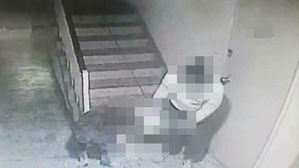 아파트 복도서 대형견이 30대 남성 공격&hellip;중요 부위 상처