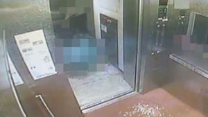 대형견 따가운 눈초리 속 다시 불거진 입마개 논란