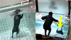 [Pick] 수영 못하는데 '개헤엄이겠지'&hellip;방치돼 결국 죽은 강아지