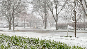 미국 시카고에 13.5cm 폭설&hellip;4월 적설량으로는 58년 만의 기록