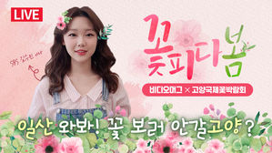 [비디오머그 라이브] 비디오머그랑 안양에 꽃 보러 안갈고양?