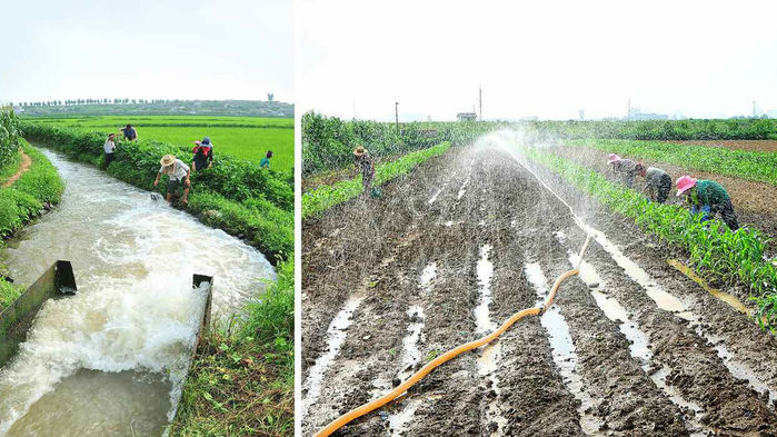 북한 농민들의 물주기 모습 (사진=연합뉴스)