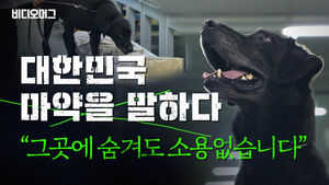 갈수록 교묘해지는 마약 밀반입&hellip;'마약 탐지견'의 활약상
