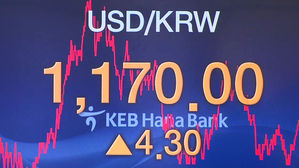 '1달러 1,170원' 환율 고공행진&hellip;2년 3개월 만에 최고