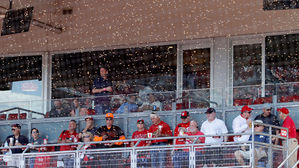 메이저리그서 벌떼 날아들어 18분간 경기 지연