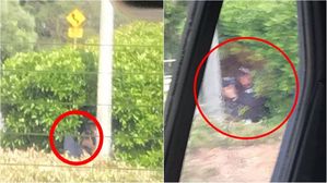 [Pick] "한 명만 걸려라"&hellip;속도위반 운전자 잡으려는 경찰의 '잠복근무' 논란