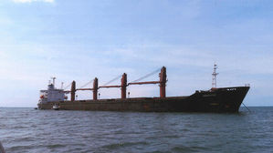 "한국업체, 또 北 석탄 반입 의혹으로 조사 중"