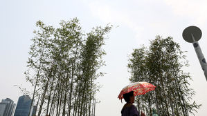 내일 중부지방 맑고 경남은 소나기&hellip;미세먼지 '좋음'∼'보통'