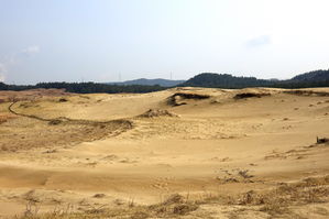 [라이프] 사막을 건너다 - 바라길, 신두리 사구 ①