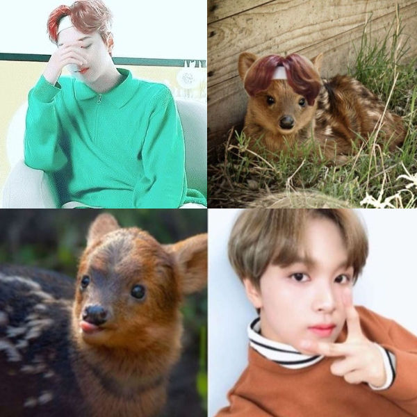 HAECHAN, pudu