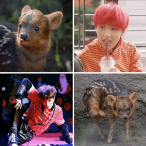 HAECHAN, pudu