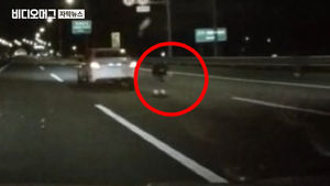 '공항 고속도로 사망' 배우, 음주 상태였다&hellip;면허취소 수준