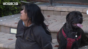 '광란의 질주'가 무서웠던 개&hellip; 달리는 차량에서 '탈출 시도'