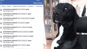 [Pick] 페이스북 해킹당한 줄 알았던 여성&hellip;알고 보니 범인은 반려견?