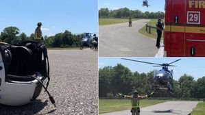 美 플로리다 호수에서 수영하던 여성, 악어에 물려 중상