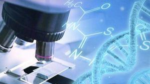 美 특허 출원 1위 대학은 카이스트&hellip;분야는 생명공학