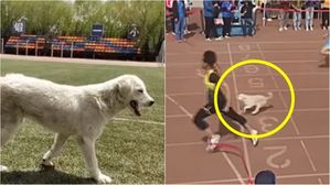 [Pick] 100m 달리기 경기에 나타난 '시선 강탈' 참가자