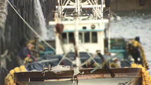 한국 선원 평균 월급 469만 원&hellip;최고봉은 원양어선