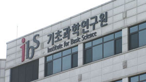 '내일 나의 기분은' 수면 패턴 보면 안다&hellip;예보기술 개발