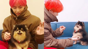 [SBS Star] BTS V Shows What a Responsible and Caring Dog Adopter He Is