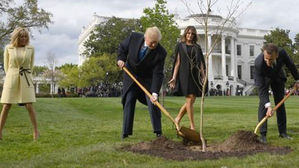 "마크롱이 트럼프에 선물한 '우정의 떡갈나무' 죽었다"