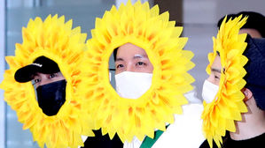 [SBS Star] BTS JIN&middot;J-HOPE&middot;SUGA Turn Into Sunflowers Upon Their Arrival in Korea