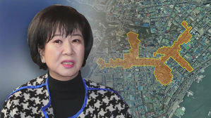 손혜원 의원