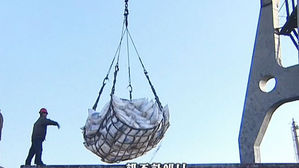 美 국무부 "대북 지원계획 없어&hellip;한국의 쌀 지원은 지지"