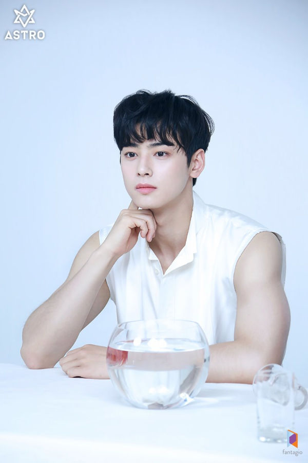 Cha Eun-woo