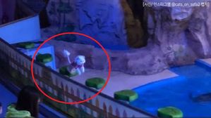 [Pick] 물 싫어하는 고양이에게 '물 쇼' 강요?&hellip;서울어린이대공원 동물 학대 논란