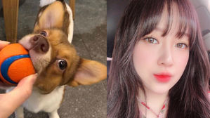 [스브스타] "이 빚을 어떻게 갚아야"&hellip;실종된 반려견 3일 만에 되찾은 금조