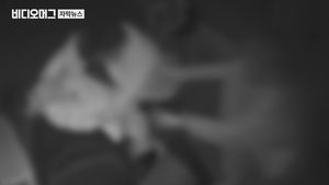 [단독] 베트남 여친 보더니 "성매매?"&hellip;폭행 부른 모욕