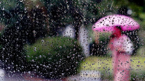 내일 전라도&middot;경남 장맛비&hellip;경기 동부&middot;강원 영서 소나기