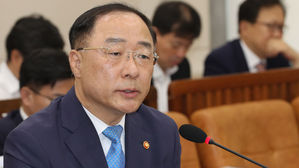 홍남기 "日 화이트리스트 제외 시 첨단소재&middot;전자&middot;통신 피해"
