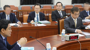 윤곽 드러내는 北 외무성 새 대미 라인&hellip;부상에 '뉴페이스' 리태성