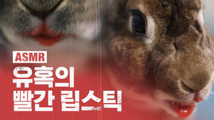 무더위와 장마에 지친 여러분들을 위한 힐링 먹방