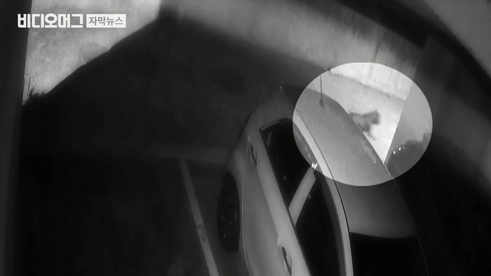 별안간 세 모녀 향해 달려든 대형견&hellip;7살 딸 머리 물었다