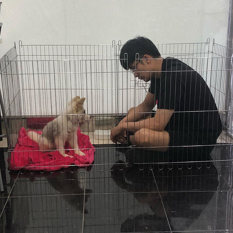 유기견 입양한 배우 성훈 (구성=신지수 에디터, 사진='youumbba'·'성훈' 인스타그램 캡처)