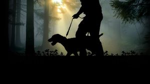 [인-잇] '폭스테리어 안락사 논란'이 안타까운 이유