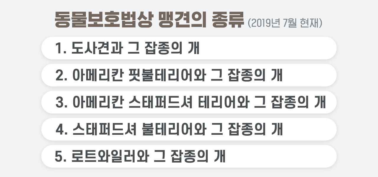 [인-잇] '폭스테리어 안락사 논란'이 안타까운 이유