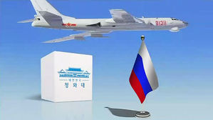 靑 "러, 영공 침범에 유감 표명&hellip;기기 오작동 주장"