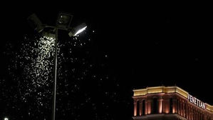 "美 라스베이거스 메뚜기떼 침공은 강렬한 스카이빔 탓"