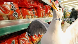 '국민 과자' 새우깡에 대한 슬픈 고찰&hellip;여러분, 이거 다 OOOO 때문인 거 아시죠?
