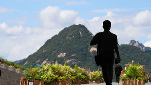 서울 경기, 강원, 충청에 폭염경보 발효