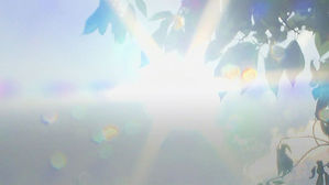 경북 의성 37.6도 올해 최고기온&hellip;"오늘&middot;내일 폭염 최고조"