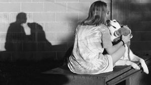 [인-잇] "내 개를 때린 게 잘못이냐?"에 할 말 없는 이유