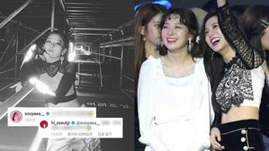 [SBS Star] Fans Smile After Seeing Red Velvet SEULGI & BLACKPINK JISOO's Conversation on Instagram