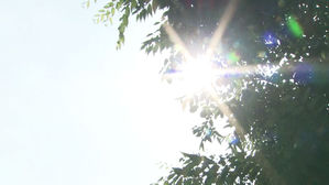 경기도 폭염경보 31개 시군 전역으로 확대