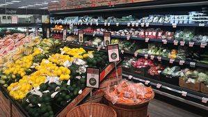 [인-잇] '환경보호'가 거창한 건가요?…덴마크식 실천